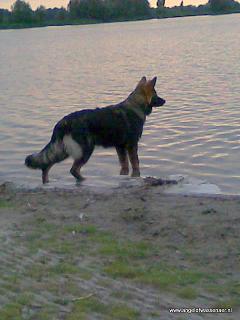 Odin aan het meer